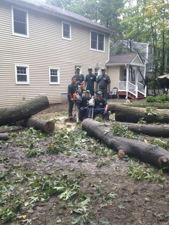 24/7 Tree Removal in Murfreesboro